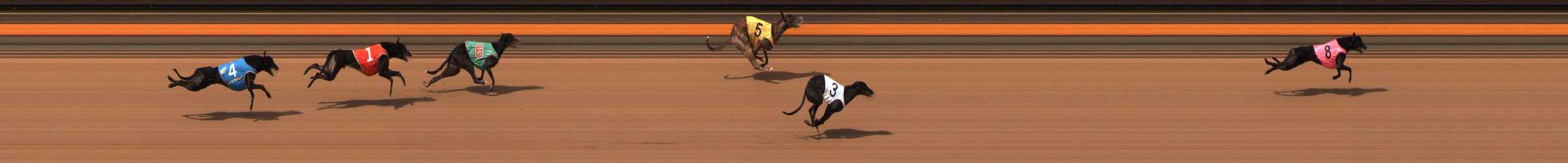 Photo finish for Ballarat Race 12