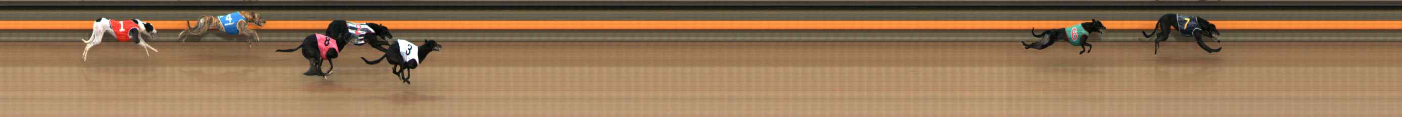 Photo finish for Ballarat Race 2