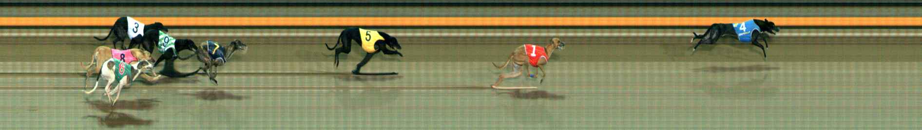 Photo finish for Ballarat Race 4