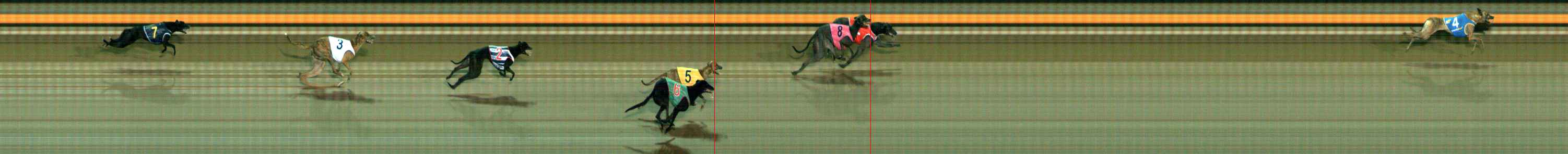 Photo finish for Ballarat Race 5