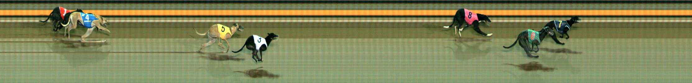 Photo finish for Ballarat Race 6