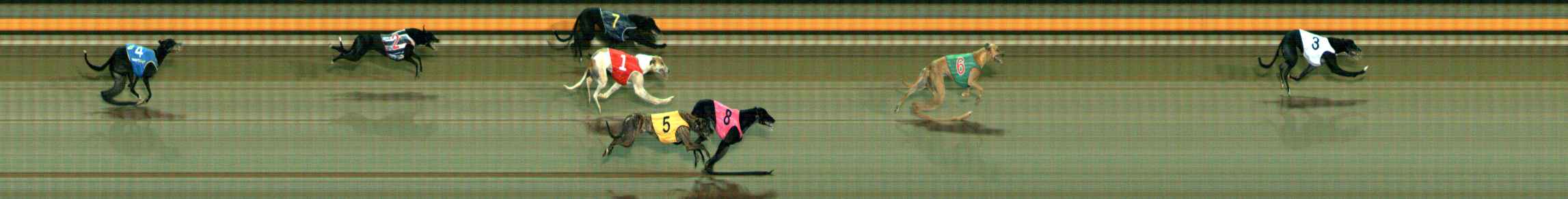 Photo finish for Ballarat Race 7