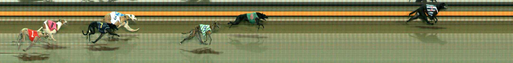 Photo finish for Ballarat Race 8
