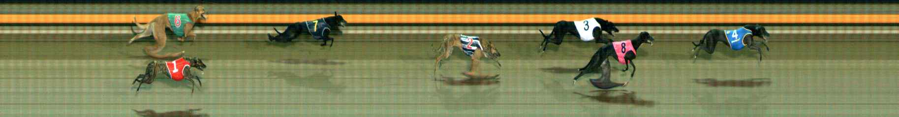 Photo finish for Ballarat Race 9