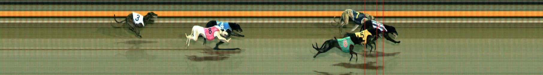Photo finish for Ballarat Race 10