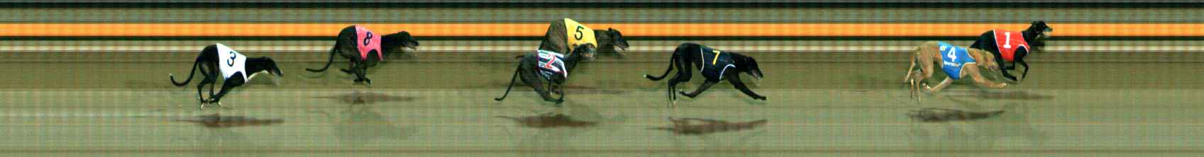 Photo finish for Ballarat Race 12