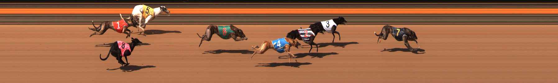 Photo finish for Ballarat Race 2
