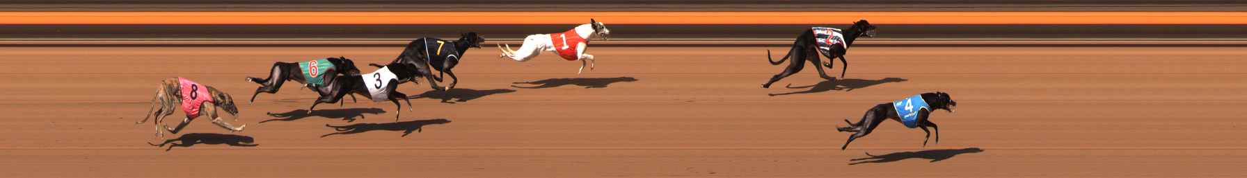 Photo finish for Ballarat Race 3