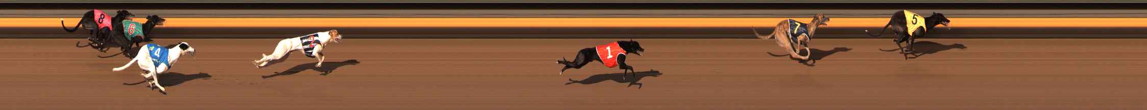 Photo finish for Ballarat Race 7