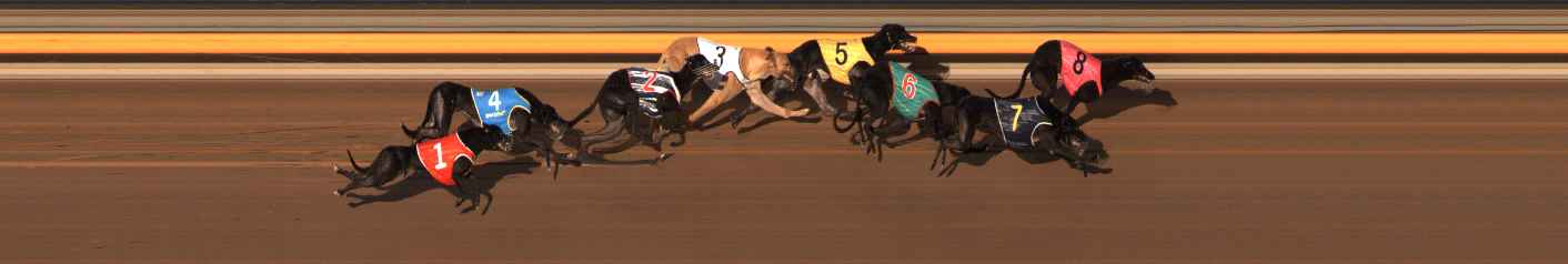 Photo finish for Ballarat Race 10