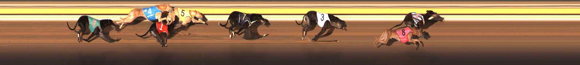 Photo finish for Ballarat Race 11
