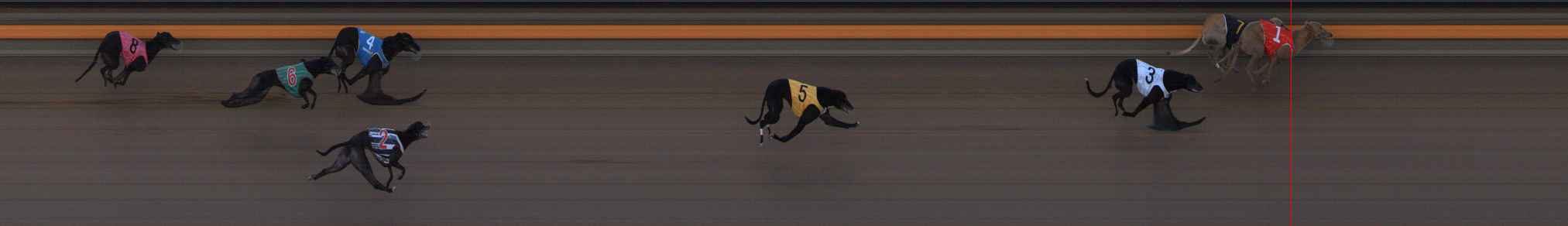 Photo finish for Ballarat Race 12