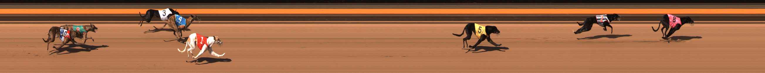 Photo finish for Ballarat Race 1