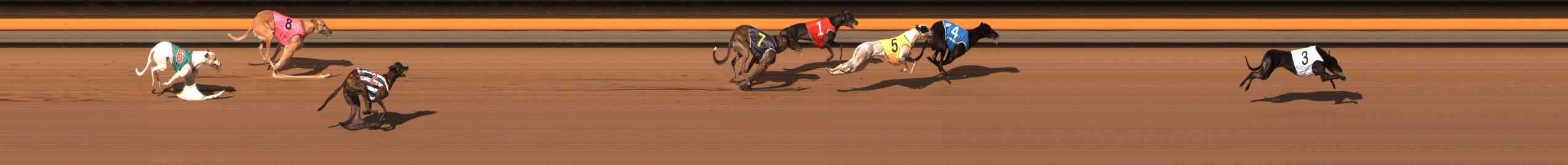 Photo finish for Ballarat Race 3