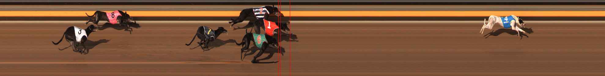 Photo finish for Ballarat Race 7