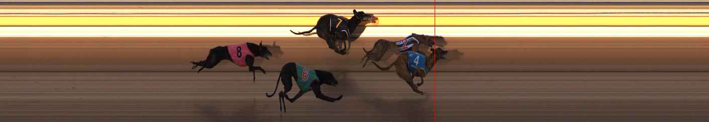Photo finish for Ballarat Race 10