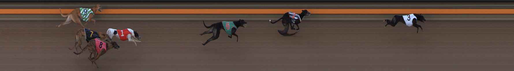 Photo finish for Ballarat Race 11