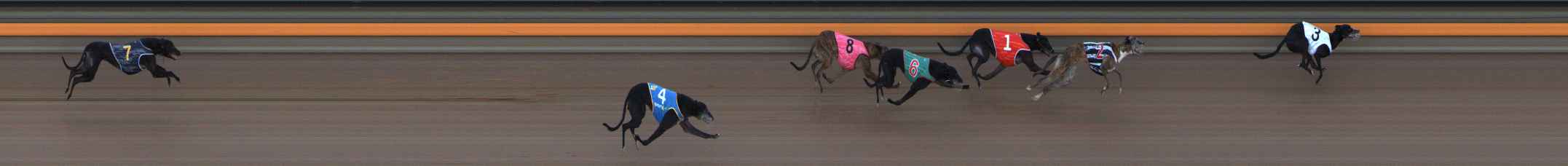 Photo finish for Ballarat Race 12