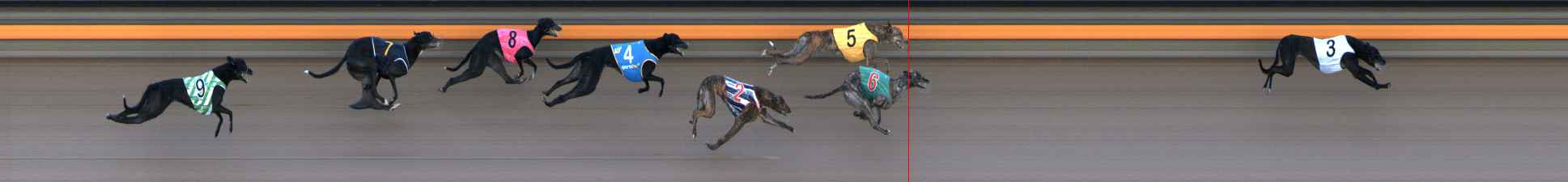 Photo finish for Ballarat Race 1