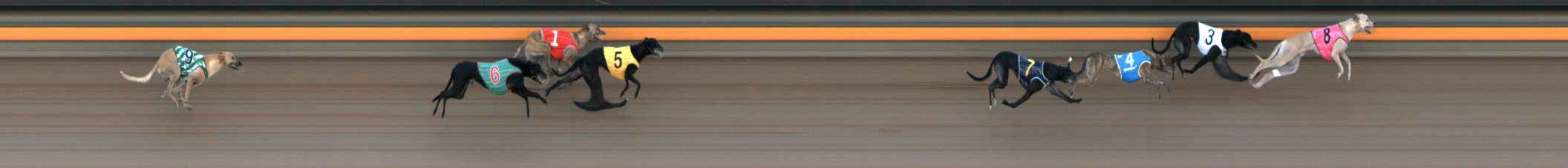 Photo finish for Ballarat Race 2