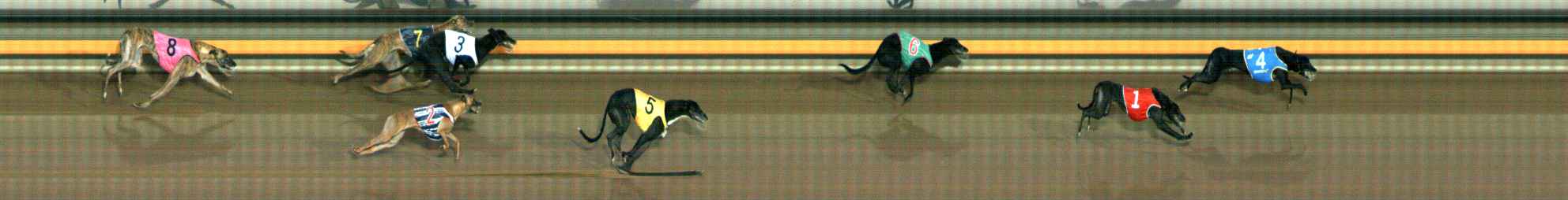 Photo finish for Ballarat Race 3