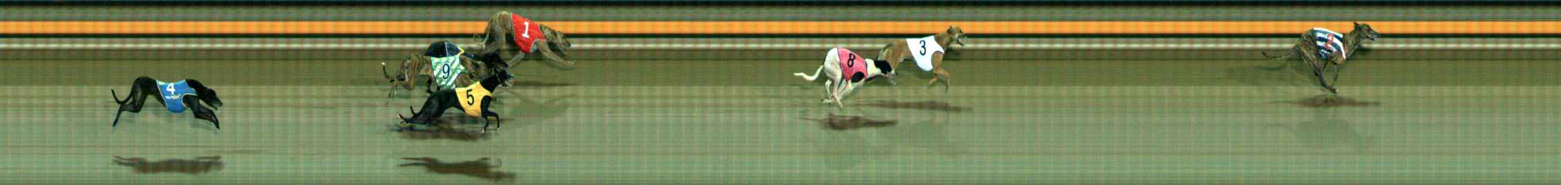 Photo finish for Ballarat Race 8