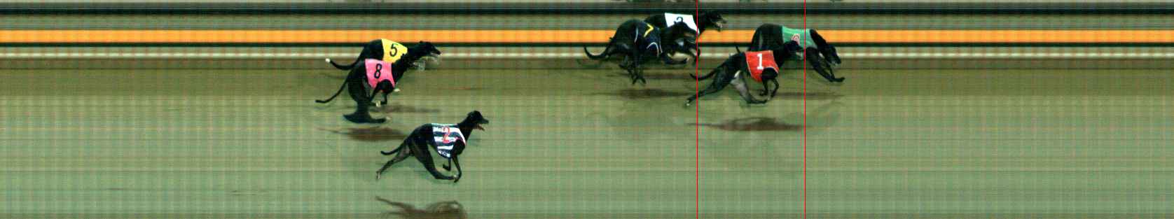 Photo finish for Ballarat Race 9