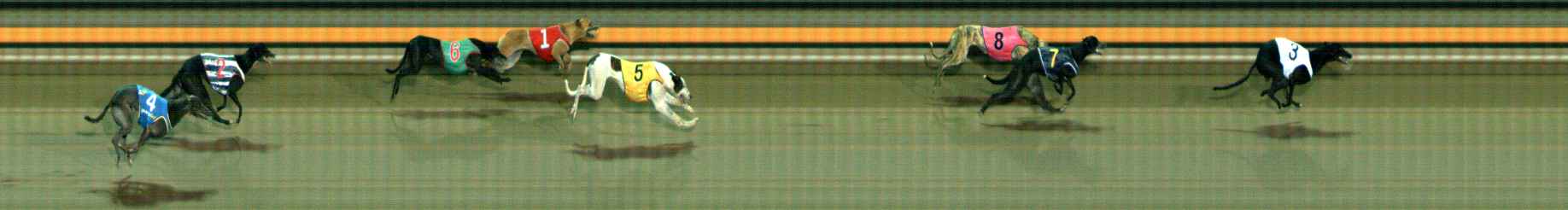 Photo finish for Ballarat Race 10