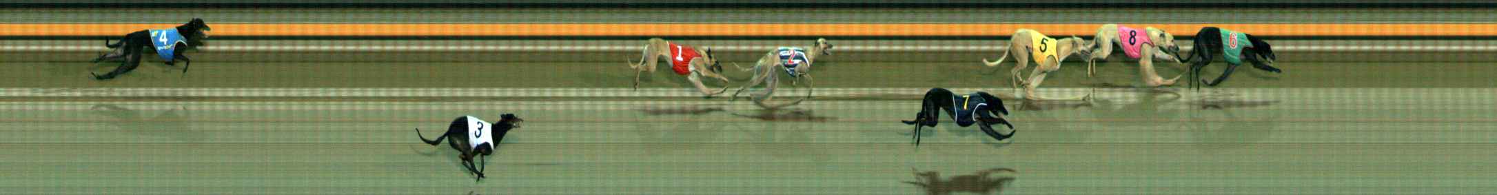 Photo finish for Ballarat Race 11