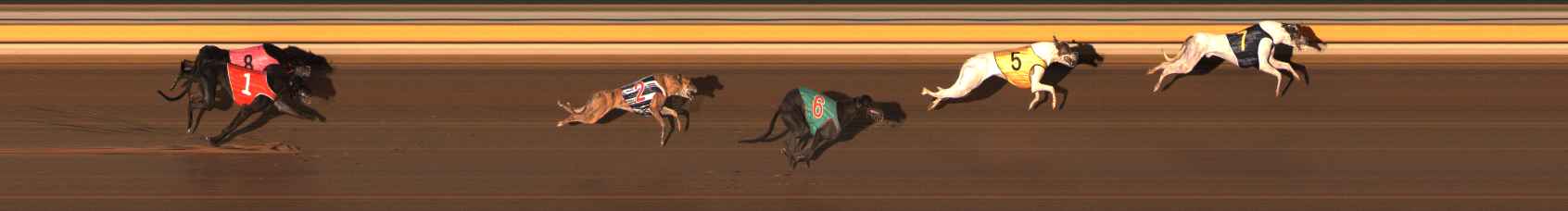 Photo finish for Ballarat Race 1