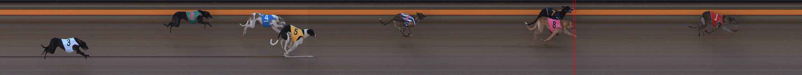 Photo finish for Ballarat Race 2