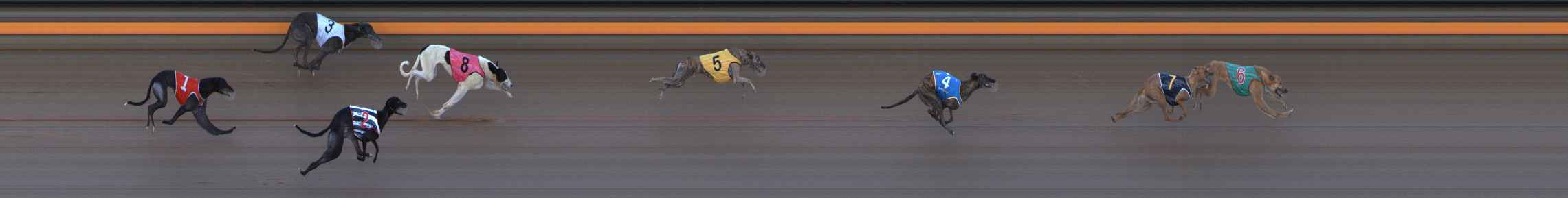 Photo finish for Ballarat Race 3