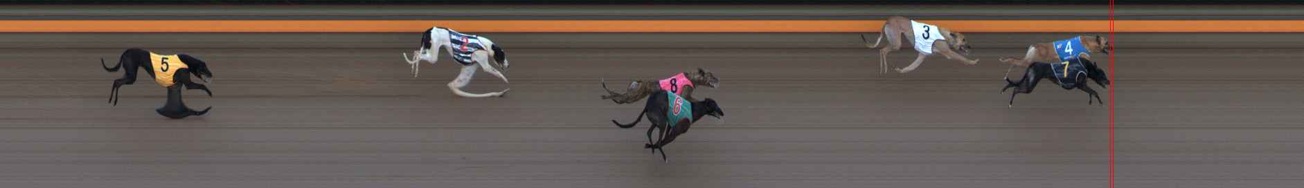 Photo finish for Ballarat Race 5