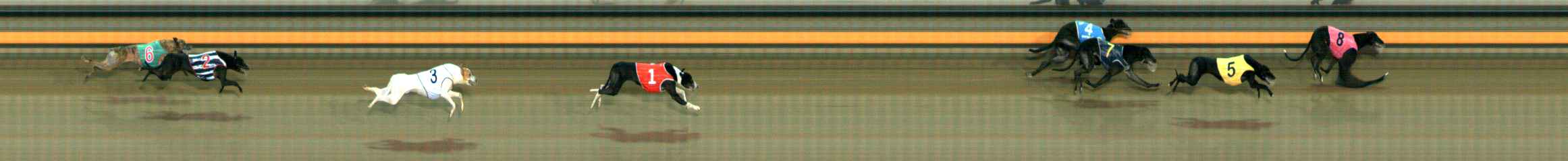 Photo finish for Ballarat Race 7