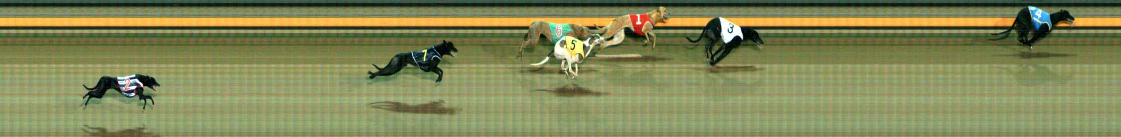 Photo finish for Ballarat Race 8