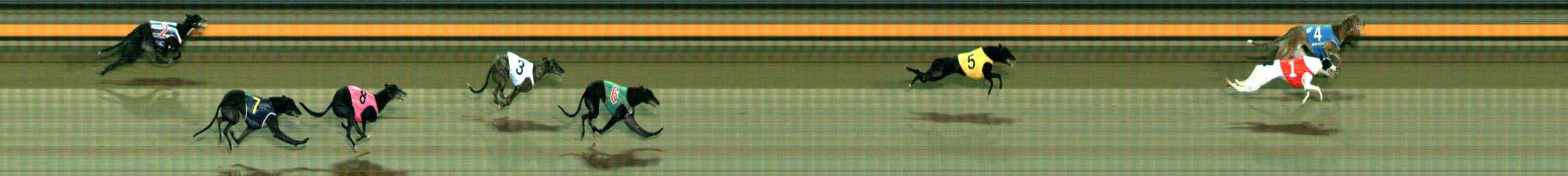 Photo finish for Ballarat Race 9