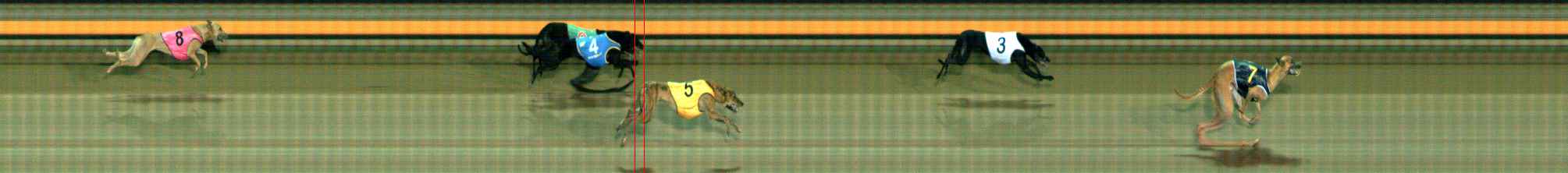 Photo finish for Ballarat Race 10