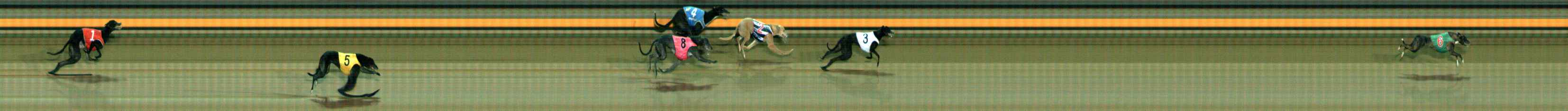 Photo finish for Ballarat Race 12