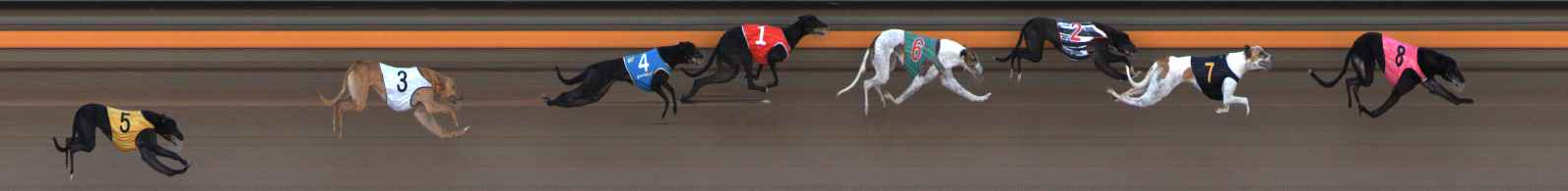 Photo finish for Ballarat Race 1