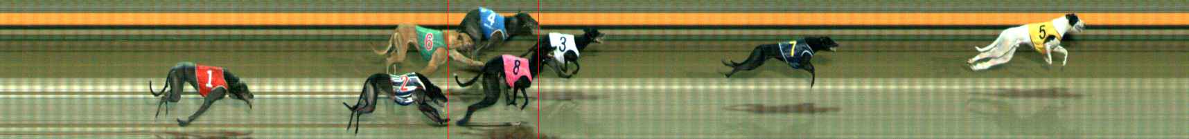 Photo finish for Ballarat Race 4