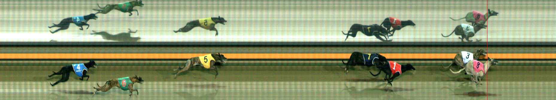 Photo finish for Ballarat Race 5