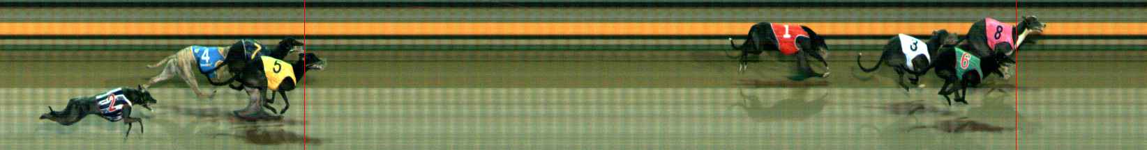 Photo finish for Ballarat Race 6