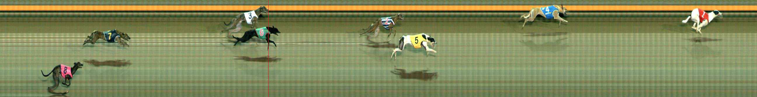 Photo finish for Ballarat Race 9