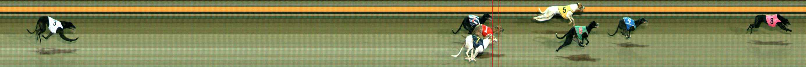 Photo finish for Ballarat Race 10