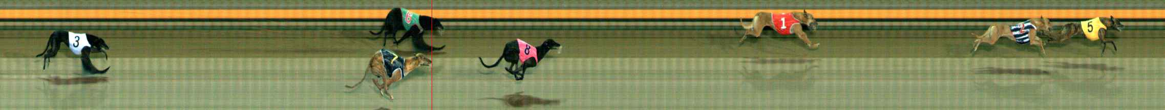 Photo finish for Ballarat Race 11