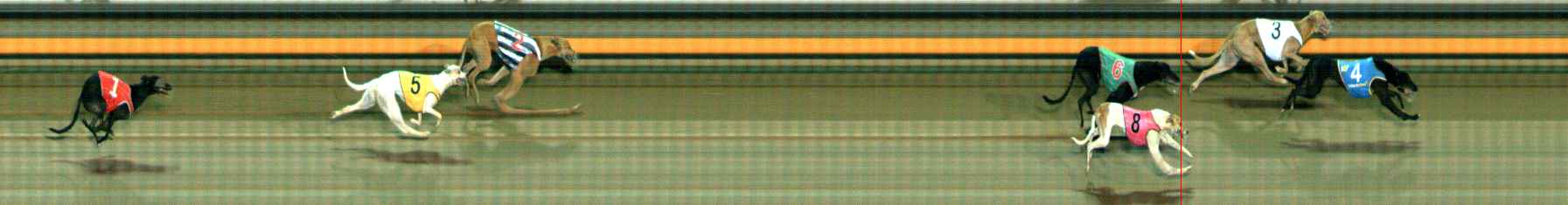 Photo finish for Ballarat Race 12
