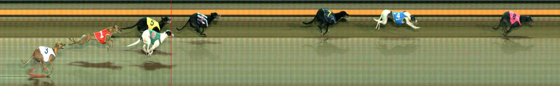 Photo finish for Ballarat Race 3