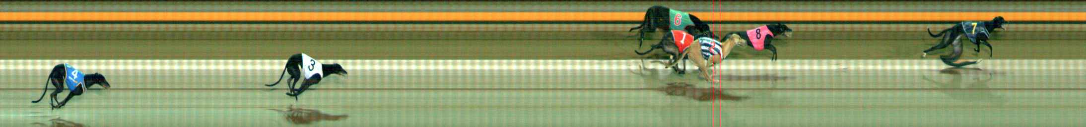 Photo finish for Ballarat Race 4