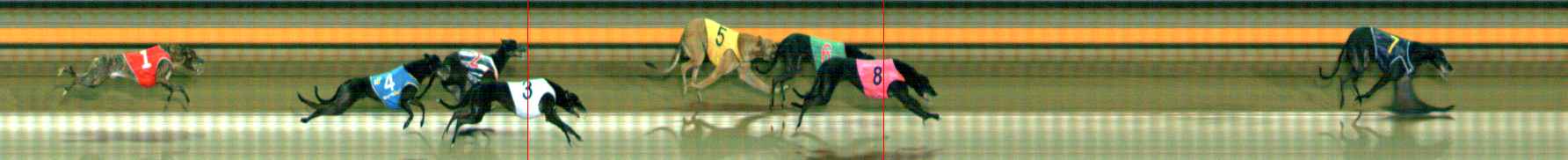 Photo finish for Ballarat Race 6