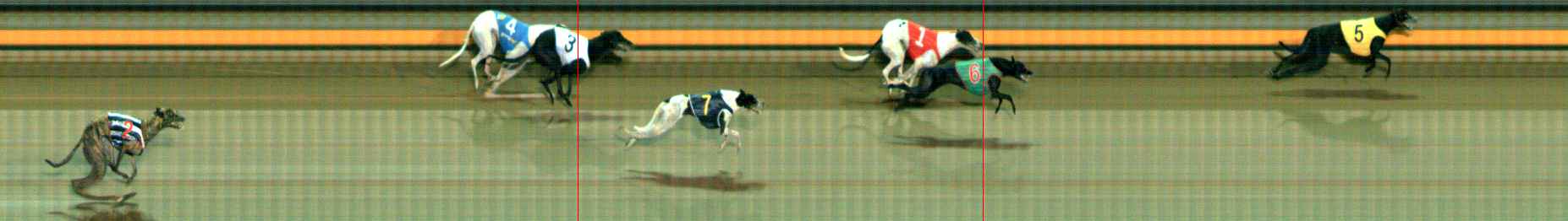 Photo finish for Ballarat Race 8